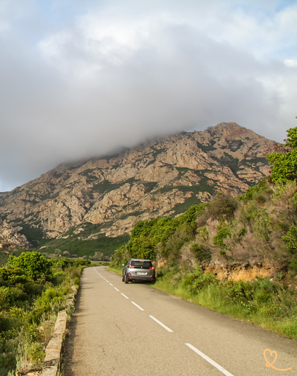 L'histoire du drapeau corse - Corsicatours