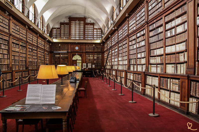 bezoek fesch bibliotheek ajaccio