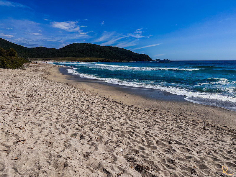 plage-capo-di-feno-ajaccio