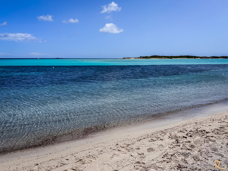 plage piantarella corse